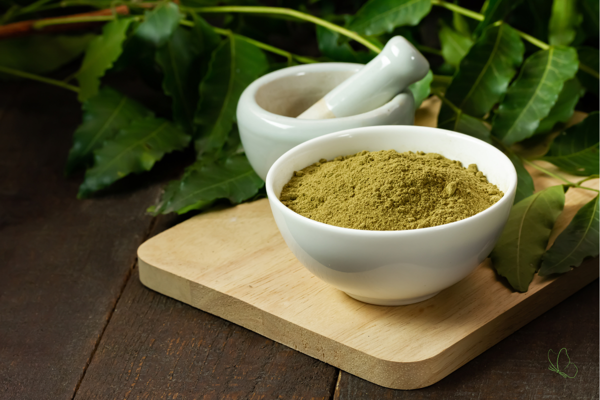 Neem Powder: The Powerful Benefits of This Natural Wonder